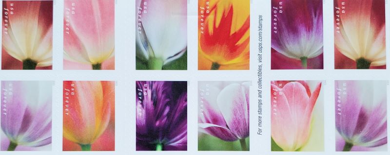 1st Class Stamps Tulip Blossoms <span class="cc-gallery-credit"></span>